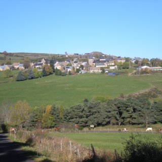 DSCN4424
